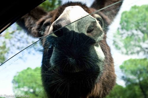 Mamesita26's profile picture. 