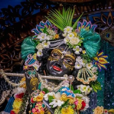 themonalisapaul's profile picture. Hare Krishn