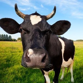 joe2g_'s profile picture. @joe2g