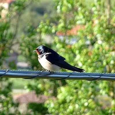 Espacio para compartir el #Amor💚 por la #Naruraleza🦅🌳🦋🌼🐌☘️. ✍️ @t_santantonia