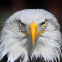 DIVOXID (@divoxid) 's Twitter Profile Photo DIVOXID (@divoxid) 's Twitter Profile Photo