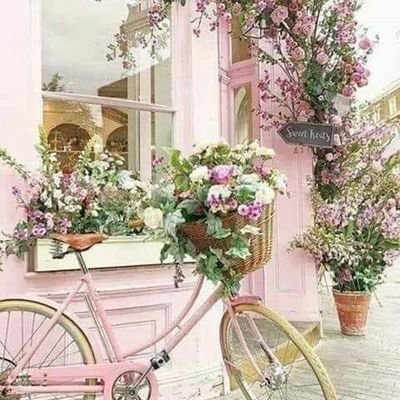 87_walla's profile picture. ‏جميلة