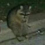 henriqueartwo's profile picture. sei lá