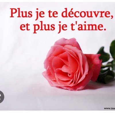 heureuxcoe82023's profile picture. Je suis célibataire