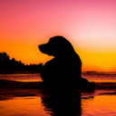 Grace Lindsay - @user12476524 - Twitter