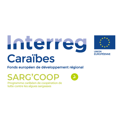 Le projet SARG'COOP vise à renforcer la préparation des territoires caribéens et leur résilience face à l'invasion des algues sargasses.