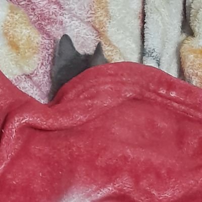 Font26Ele's profile picture. Amo las vergas y las axilas peludas 🥵