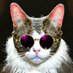 Baron Von Meowsberg (@bmeowsberg) Twitter profile photo Baron Von Meowsberg (@bmeowsberg) Twitter profile photo