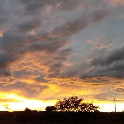 PaolanairG's profile picture. ave fenix