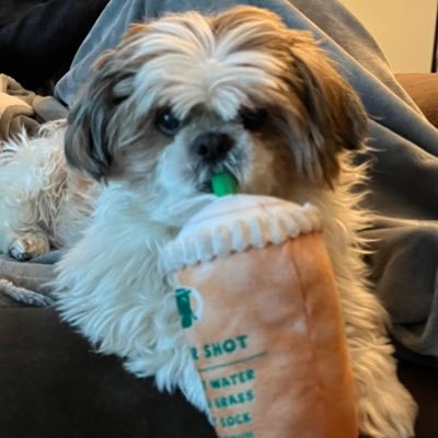 SantLahr's profile picture. Freedom and Family Values