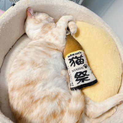 【取引垢】リプでのお取引はしないのでDMでのお取引をお願いします。⚠️お取引の為にフォローすることがありますが、お取引完了後フォローを外します。