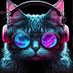 Kul Kat (@kulkattt) Twitter profile photo