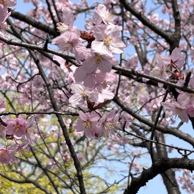 2020_shiro's profile picture. 好きな事色々写真好き♡東方神起好き６年目突入 ユノよりです♡