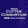 cuttermexico's profile picture. Firma de consultoría y conocimiento integrada por una red internacional de expertos practicantes en el ámbito de las Tecnologías de Información.