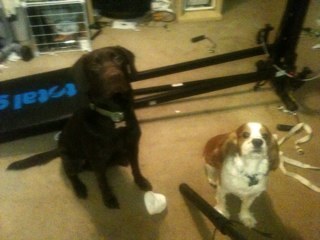 ThePrince2011's profile picture. 