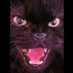 ronythetakeczar (@ronythebikeczar) Twitter profile photo ronythetakeczar (@ronythebikeczar) Twitter profile photo