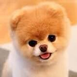 I love animals, love to take care of them and love cooking everyday