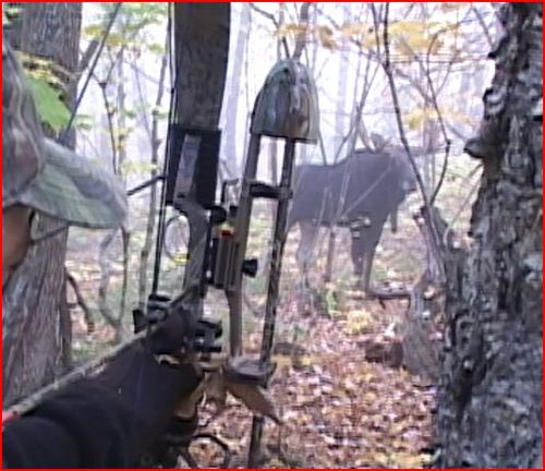 Formateur, chroniqueur et guide de chasse à l'orignal