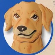 国プ代表の飼い犬さんのプロフィール画像