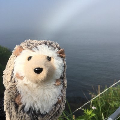 bigcannon77's profile picture. 無位無官の人 / 関心事は安全保障と軍事, 金融正常化, アートと動物 / 力による現状変更に反対し、国際法秩序の維持を重視/ 戦争反対。他国に侵略されない抑止力は必要/ 大切なのは自利利他の心🙏📿/ 守るべきは人権と立憲民主主義、法の支配⚖️/ RTは備忘のため/ いいねはアート系のみ