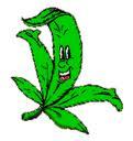 #LOLstoners The official Twitter for all the funny Shit Stoners love. Follow my Main Account @iSpeakMarijuana