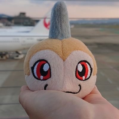 矢神 光さんのプロフィール画像
