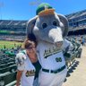 CarlyDonohue4's profile picture. Love my Lord & Savior, Biola University & Loma Linda University Grad, Life comes and goes in waves 🌊 *Authentic Oakland Athletics Fan*