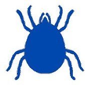 DarinAllan's profile picture. "A Noble Spirit Embiggens The Smallest Man", it's Perfectly Cromulent! As a Bald person I find Combs, Brushes and Hairdryers Offensive! I block RW scum!