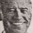 obviousbranch64's profile image