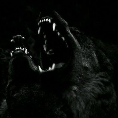 bb_back_again's profile picture. 🔞18+ MDNI | Average horny twitter user | 25 y.o. | Mostly liking content, occasional tweets + rt's | All fantasy, I don't condone IRL