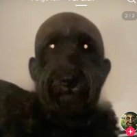 πͺππ€π€ππ (@yxmato95) 's Twitter Profile
