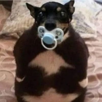 NBposter40789's profile picture. Jay! She/They  ||  🔞🏴🐶🍃🍄🔊🏳️‍🌈