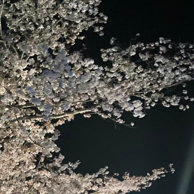 ababa09876's profile picture. ROM専 20⬆️ 界隈理解