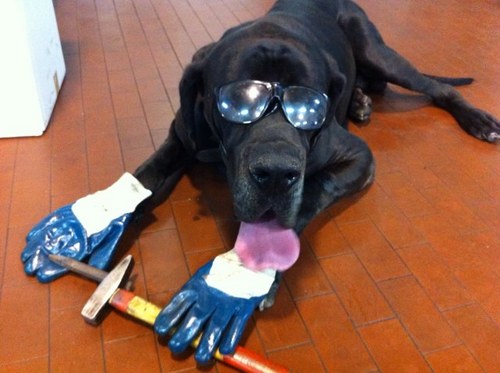 bubagonzo's profile picture. 