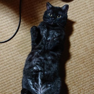 HovZt's profile picture. 2023年から機械加工（マシニングセンタ）を始めたゲーム好きのおっさんです。