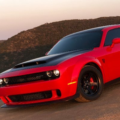 JefferyKavanau2's profile picture. 