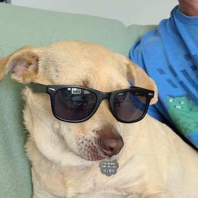 JeffgrimJeff's profile picture. drywall never sleeps