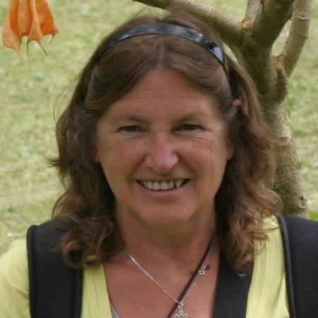 bijsco's profile picture. TU Delft OpenCourseWare, Bureau OpenEr: http://t.co/BzTwk9fXhb
Student OU: Education,