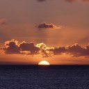 Lisa Luce - @lis_luce - Twitter