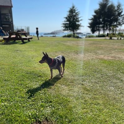 beta2405's profile picture. 