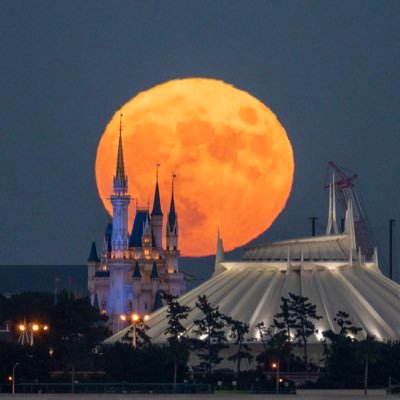 1054sgw71357151's profile picture. 