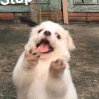 aiikkyu's profile picture. ไม่ได้อยากเป็นคนเก่ง อยากเป็นคนถูกหวย