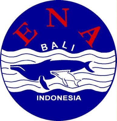 PADI diving courses, bali dive program, snorkeling trip, daily diving trip