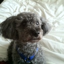 Sammy - @SamBeeBeee - Twitter