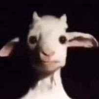 abohxh's profile picture. #