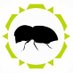 PSHB update (@ipm_update) Twitter profile photo PSHB update (@ipm_update) Twitter profile photo