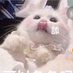 Tt (@523382206tt) Twitter profile photo Tt (@523382206tt) Twitter profile photo
