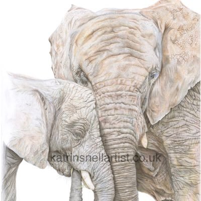 Katrin Snell Pet Portrait and Wildlife Artist