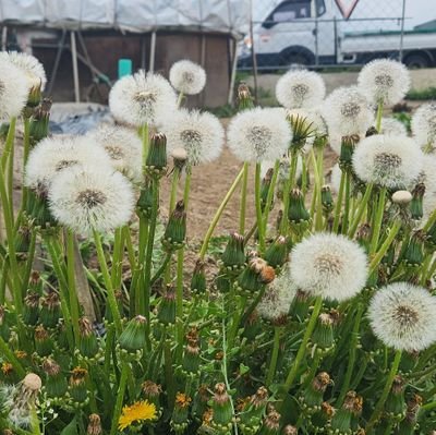 tis1000's profile picture. 