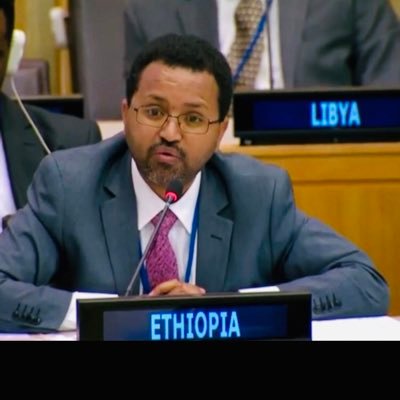 A.Director-General for International Organizations, Ethiopian MOFA.    RTs not necessarily endorsement.  Tweets personal.